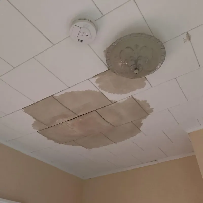 Ceiling Water Damage Repair in Cleveland, MS