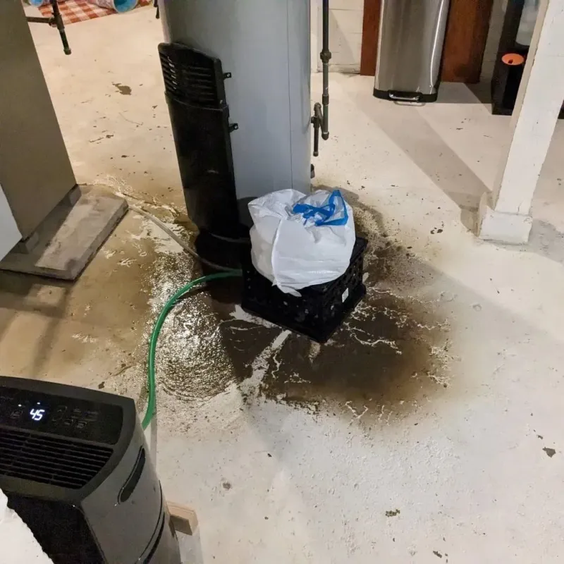 Sewage Backup Cleanup Service in Cleveland, MS